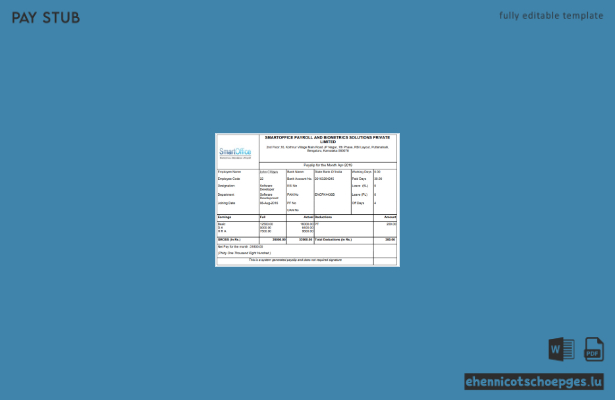 Vorschau der Gehaltsabrechnungsbeispiele von India Smartoffice and Biometrics Solutions Private Limited
